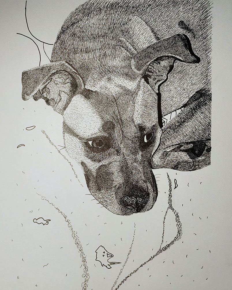 Drawing of a dog