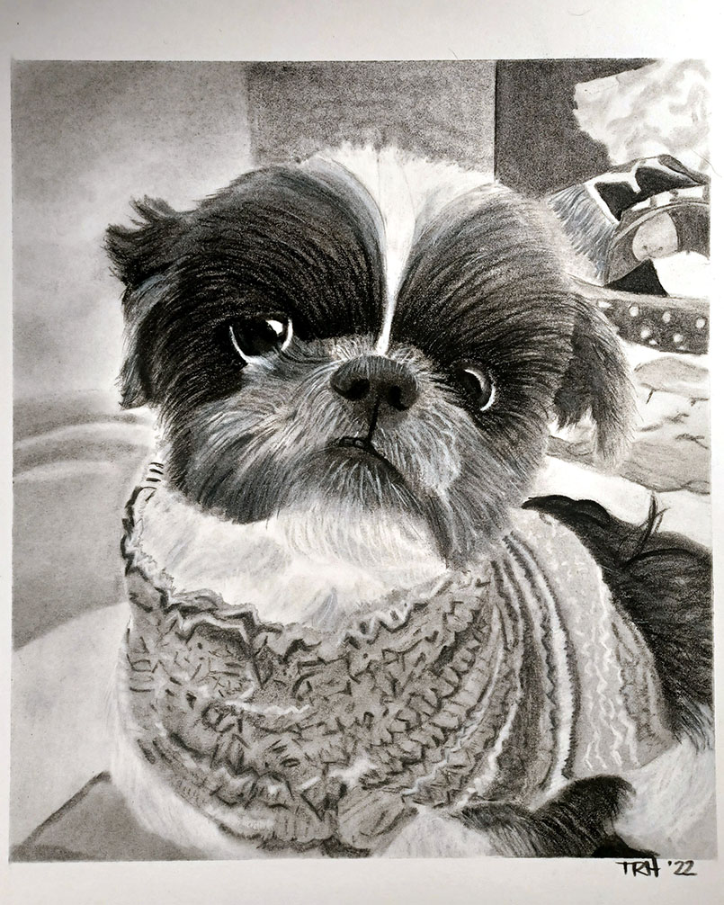drawing of a dog